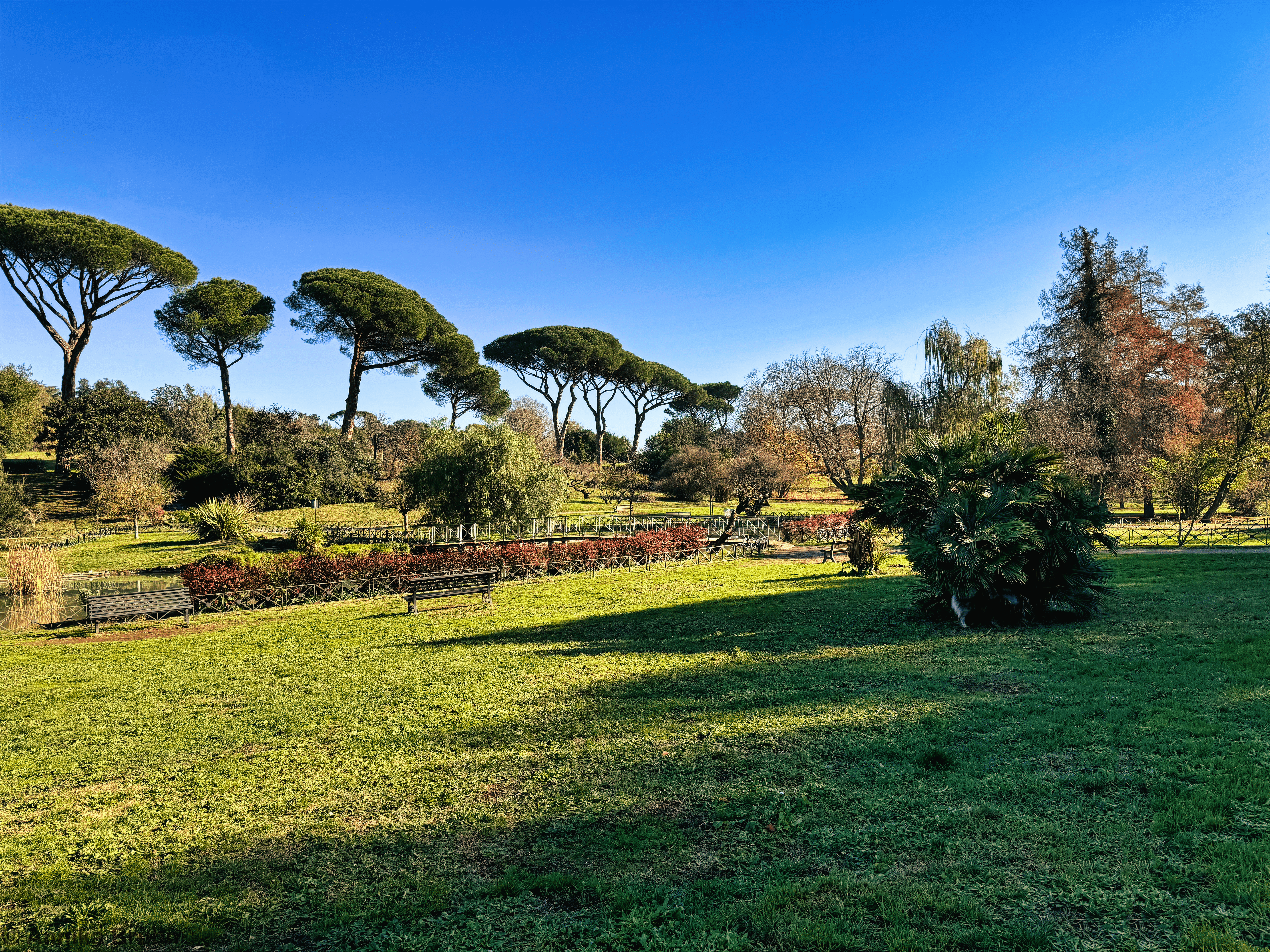 Q auf Entdeckung Tour